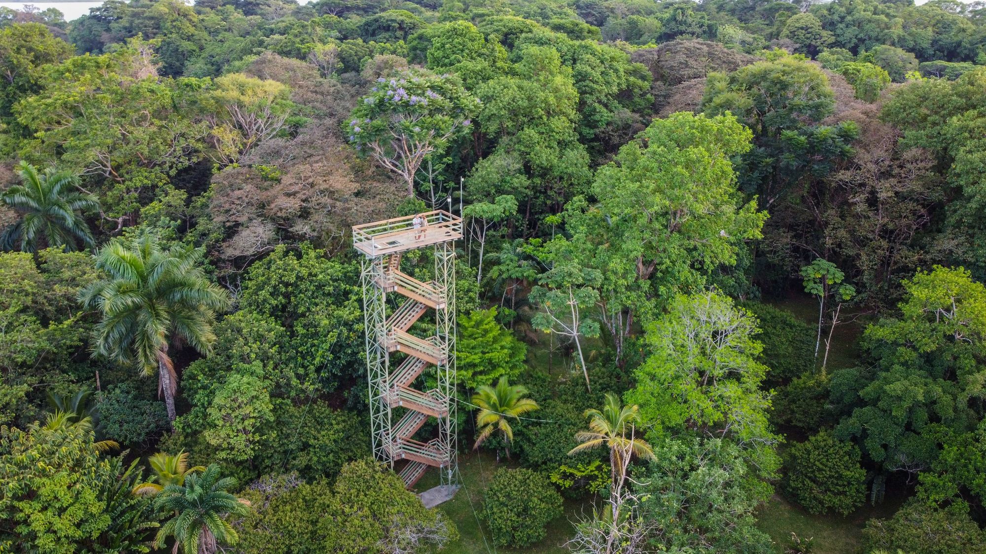 What Is Eco Tourism Panama and Why Is It Becoming So Popular?