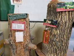 How Forestry Distributing Improves Equipment Supply and Productivity